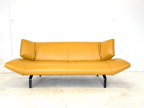 Leolux Tango Divano in Pelle Design Classico – Divani, Metallo (photo 4 of 17)
