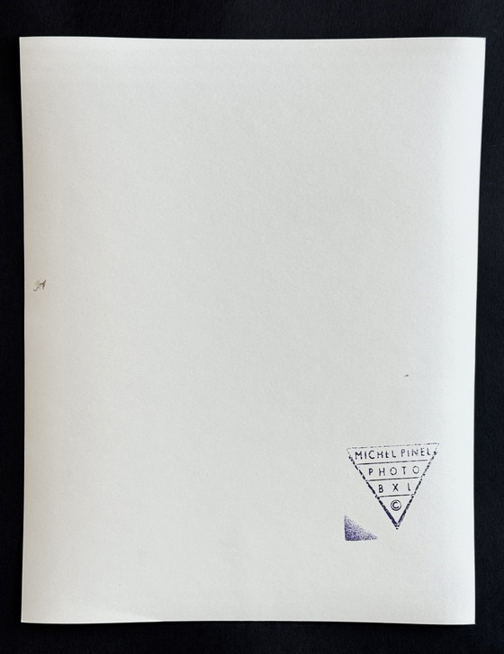 Image 1 of Michel Pinel - Seltene künstlerische Fotografie