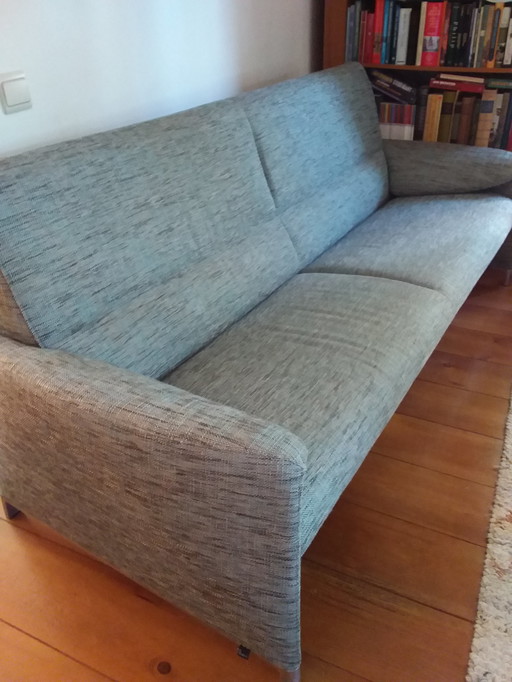 Banc Leolyx Felizia