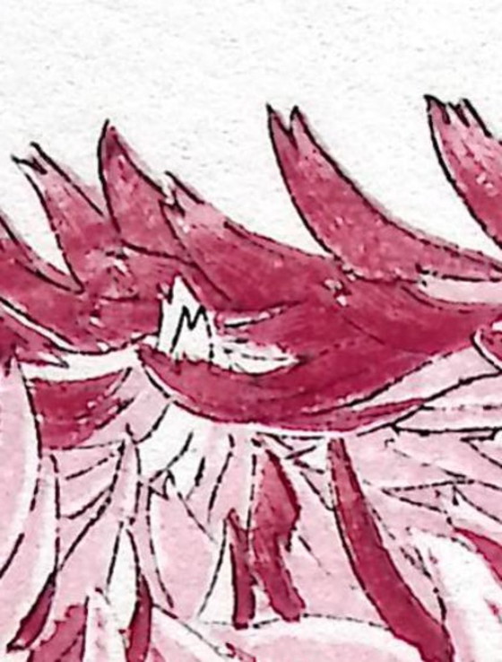 Keika Hasegawa - "One Hundred Chrysanthemums" – Paintings & Drawings, Paper (photo 5 of 8)