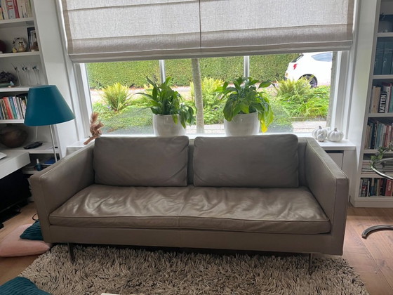 Image 1 of Molinari Modelo Aspen, Color Hígado 2017