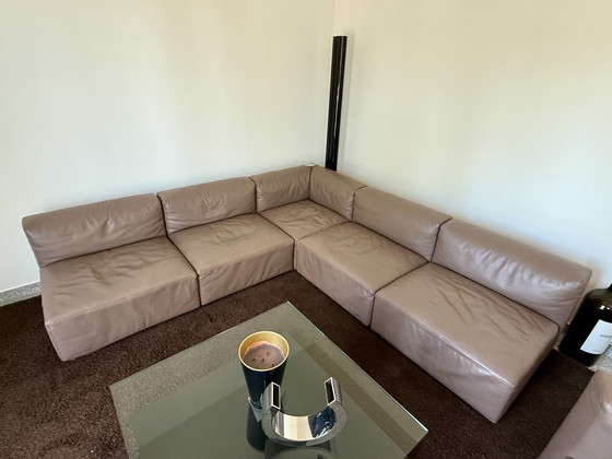 Image 1 of WALTER KNOLL Living landscape 730