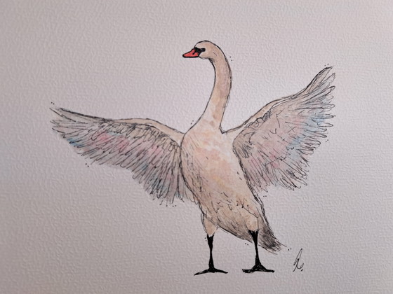 Image 1 of Watercolor painting Swan | Dark brown frame