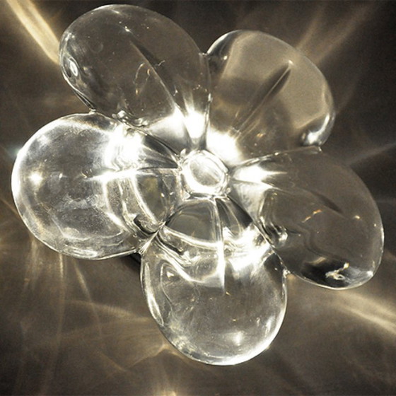 Image 1 of Lampade da parete Flower - Marcel Wanders - Flos - da esterno