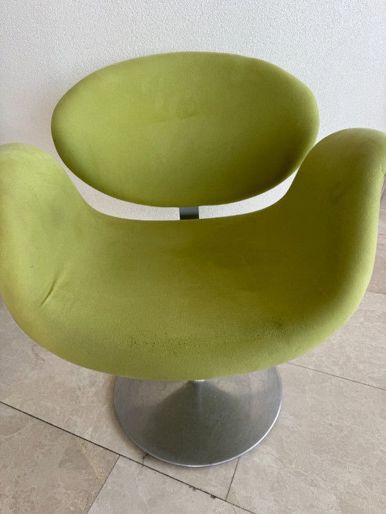Image 1 of 4 sedie Artifort Little Tulip. Da rivestire.