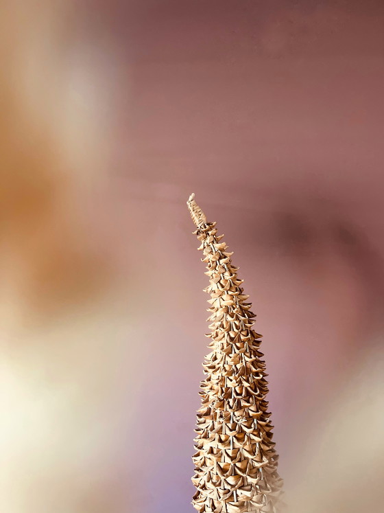 Image 1 of Unieke Bohemian vloerlamp