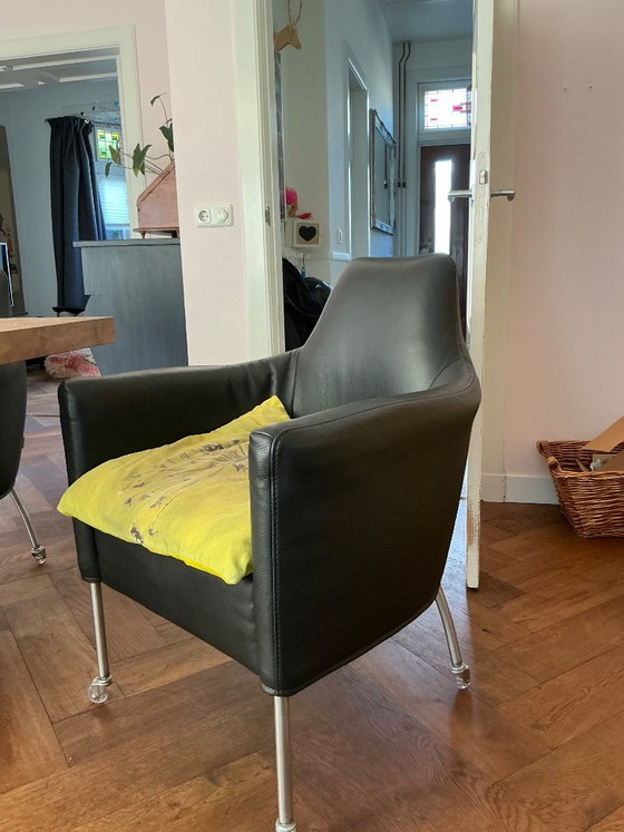 Plantation dining chairs – Bert Plantagie, Leather, Metal (photo 7 of 7)