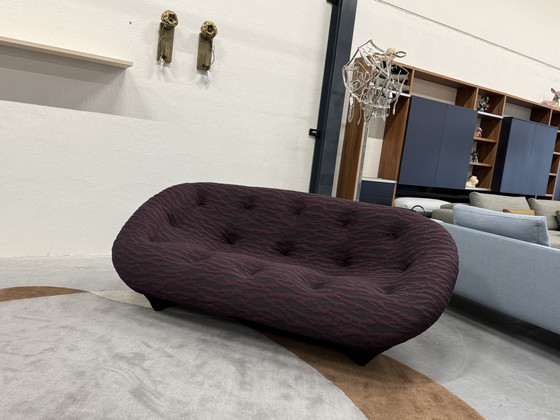 Image 1 of Línea Roset Ploum 3 Zits Banco Berenjena 204