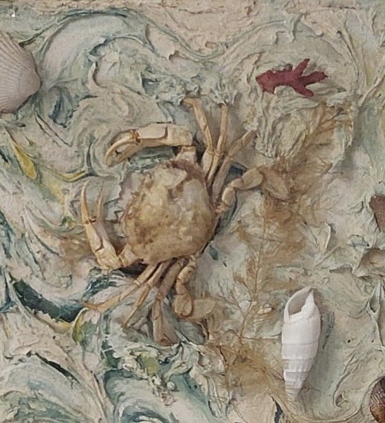 Image 1 of Mounted crab in display case