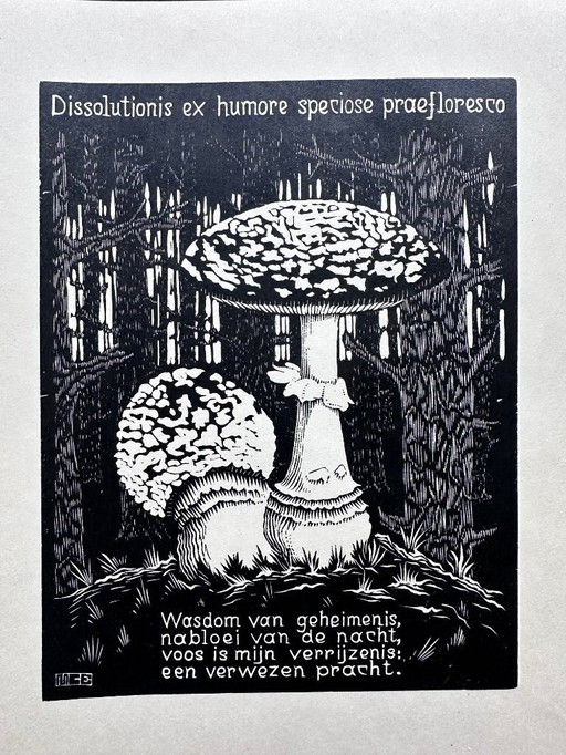 M.C. Escher woodcut