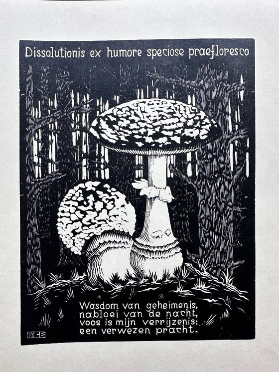Image 1 of Gravure sur bois de M.C. Escher