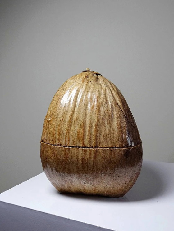 Scatola curiosa vintage anni '50-'60, secchiello per ghiaccio in cocco naturalizzato., Accessori da tavola (foto 5 di 14)