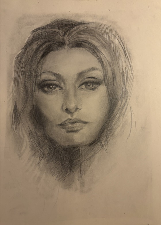 Charcoal Drawing of Sophia Loren Inspired by 1960s Aesthetics – Paintings & Drawings, Paper (photo 4 of 5)