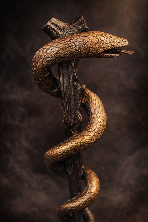 Image 1 of Bronzen Asclepius