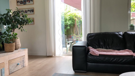 Image 1 of Divano Natuzzi a 2,5 posti