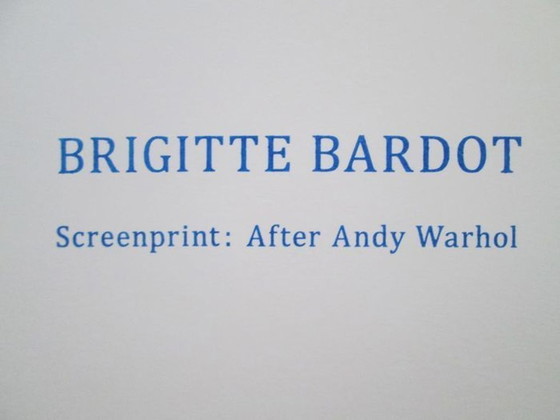 Andy Warhol Brigitte Bardot – Litho's & Zeefdrukken, Paper (photo 2 of 5)