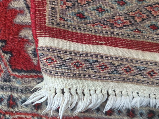 Tappeto pakistano fatto a mano – Tappeti, Wool, Cotton (photo 10 of 10)