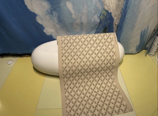 Papier peint Hembus n° 3010 « Schopenhauer » NP : 640 € Chambre du philosophe « Schopenhauer »