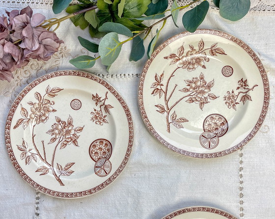 Image 1 of Lot De 5 Grandes Assiettes Anciennes En Terre De Fer Marron - Grand Dépôt Paris Emile Bourgeois (1880-1890)