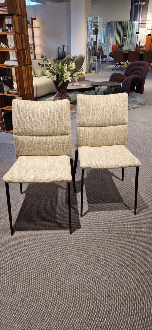 Jori JR - 5150 Oscarini Silla de comedor