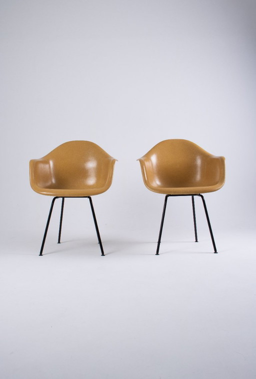 DAX Eames en fibre de verre – Light Ocre – Herman Miller / Vitra – circa 1965-1975
