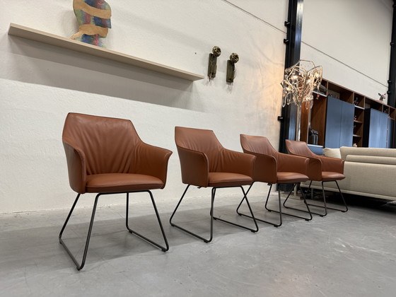 Image 1 of 4 Leolux Mara Dining Chairs Wapiti Hawk leather