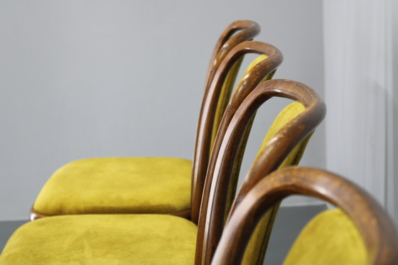 Image 1 of Juego de cuatro sillas de comedor de madera curvada de haya restauradas de la década de 1970, de TON, Checoslovaquia