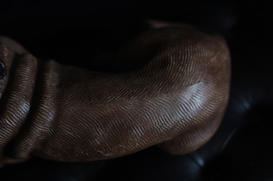 Image 1 of Bild eines Hundes