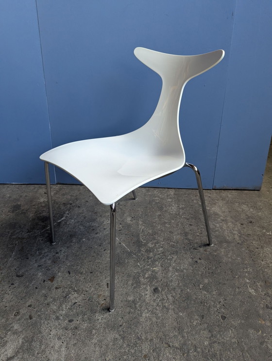 Sedia Vintage Delfy - design Gino Carollo per Ciacci Kreaty – Sedie da pranzo, Cromo, Plastica (photo 7 of 8)