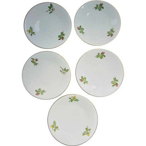 Lot de 10 assiettes vintage de Théodore Haviland pour La Porcelaine de Paris, France 1960