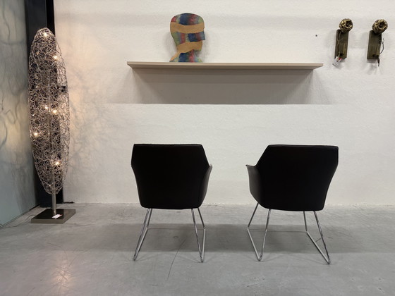 Image 1 of 2 Leolux Mara Esszimmerstühle Duo-Polsterung