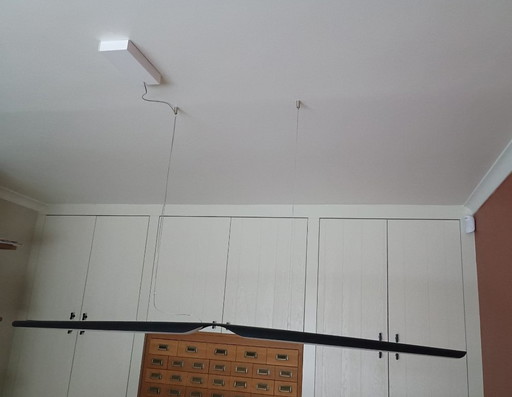 Lámpara colgante Tunto Swan