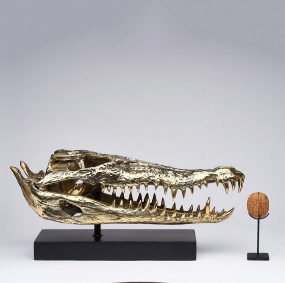 Image 1 of Sooka Sculpture, saltwater crocodile skull 37 cm bronze
