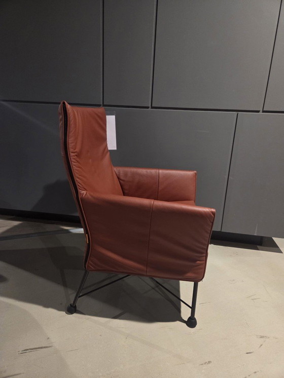 Image 1 of Monits Charly Copper