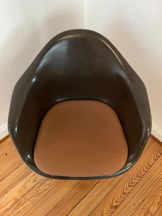 Image 1 of Set di 6 poltrone Eames Fiberglass Armchair Miller marrone scuro, struttura Vitra