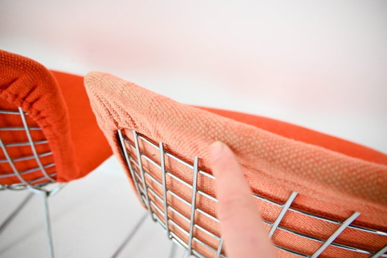 Image 1 of Sillas de Harry Bertoia para Knoll, década de 1960, juego de 6