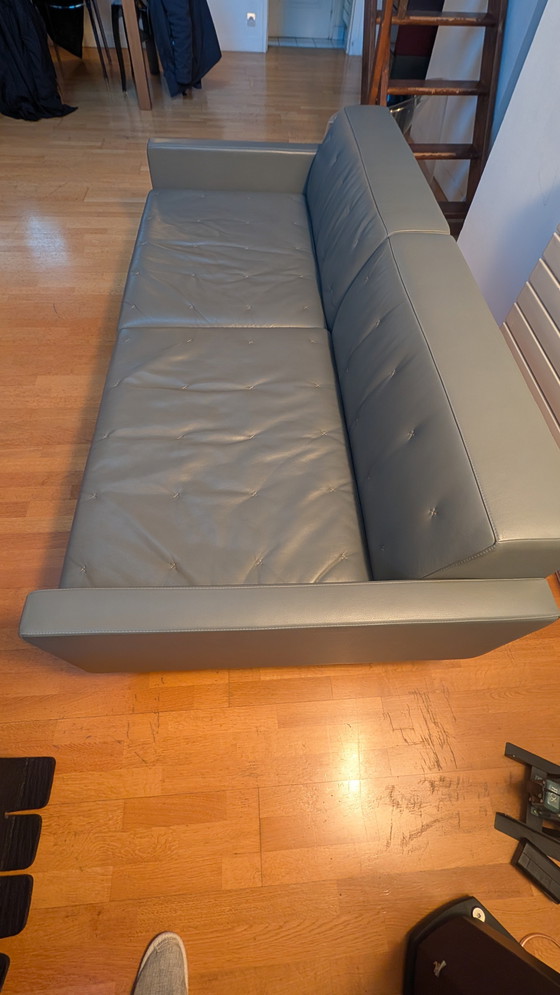 Image 1 of Sofá de cuero gris antracita Poltrona Frau