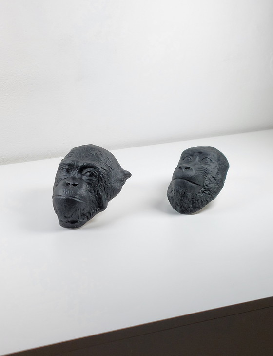 Image 1 of Coppia di rare maschere mortuarie in gesso, scimpanzé, mandrillo, gabinetto delle curiosità