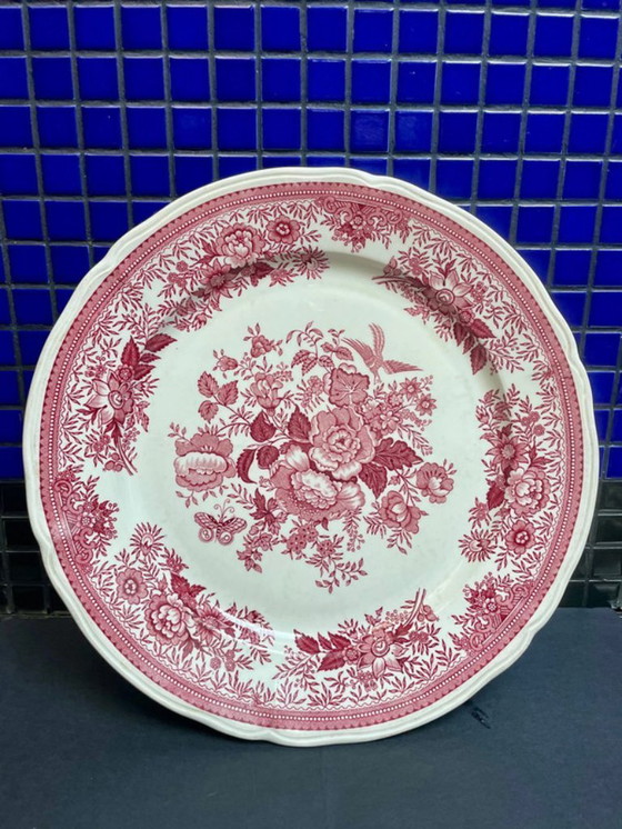 Image 1 of Duo van diepe borden / zeer grote borden Villeroy & Boch_ Fasan / Faisan _ Bleue & Brique