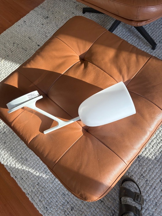 Foscarini Birdie Wall lights – Iron, Plastic (photo 9 of 12)