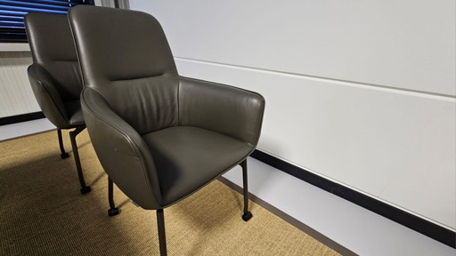 2x Leolux gyon eetkamerstoel hoog tour