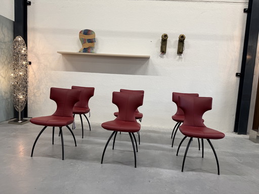 6 Leolux Callas dining chair Senso Brick