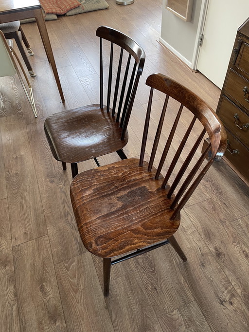 Set di 2 sedie in legno Ironica TON - Design di metà secolo