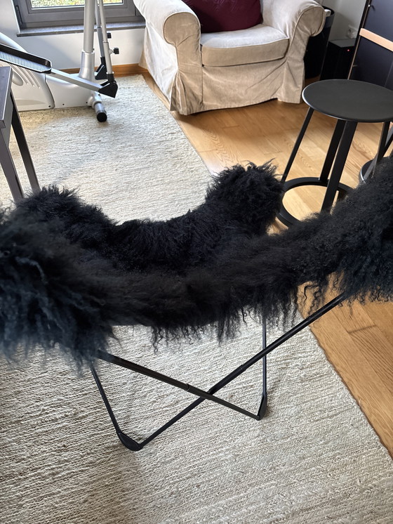 Image 1 of Iceland Mariposa Butterfly stoel