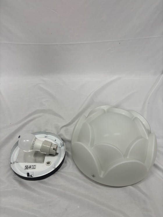 Image 1 of Peill und Putzler Seerose Artichoke ceiling lamp or table lamp