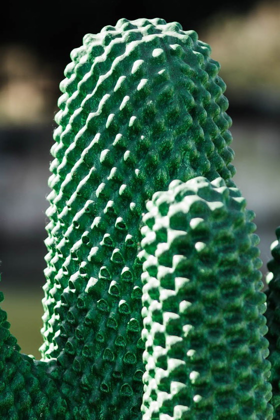 Image 1 of Gufram Cactus - Vert - Limitée 450/2000 - Multipli 86' série