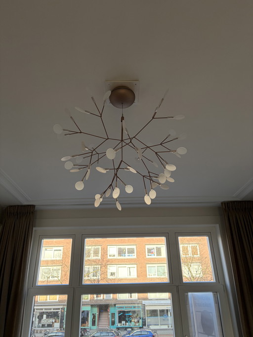 Moooi Heracleum II Petit Cuivre