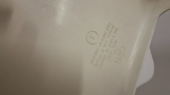 Image 1 of Four Cats C&B Italia