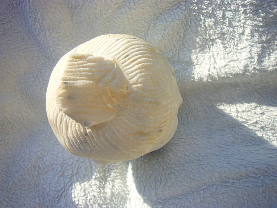Image 1 of Tête asiatique (Bouddha ?) en pierre blanche, environ 14 cm de haut et vintage ?