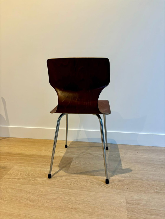 Image 1 of 6x Eromes Obo Chairs , Wijchen